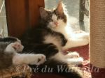 gar Dnor du Pr du Walhalla