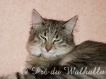 Bona Dea du Pr du Walhalla