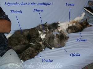 photo de groupe