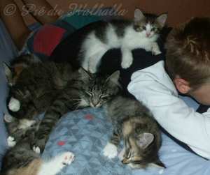 photo de groupe