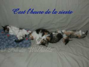 photo de groupe