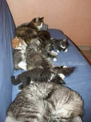 photo de groupe