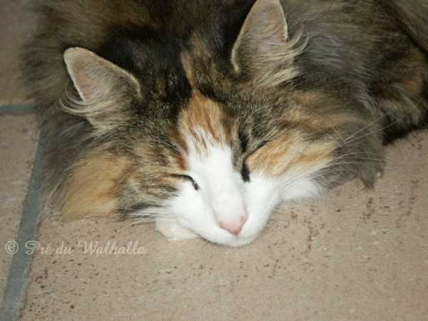 Wilma F. av Fager