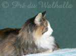 Photo de Wilma Feuerstein av Fager à 5 ans