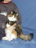 Photo de Wilma Feuerstein av Fager à 7,5 ans