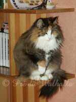 Photo de Wilma Feuerstein av Fager à 7 ans