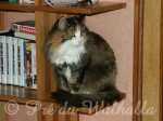 Photo de Wilma Feuerstein av Fager à 7 ans