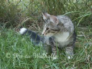kamille  7,5 mois