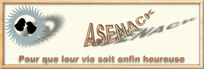 Asenack