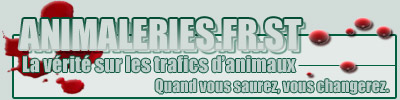 animaleries.fr.st : la vrit sur les trafics d'animaux