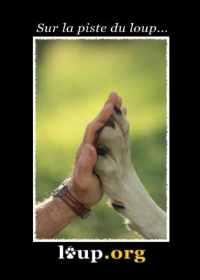 Loup.org