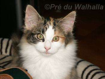 Nazca  3,5 mois