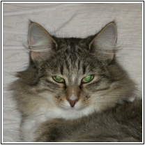 Photo de Kamille of Simchat