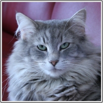 Photo d'Ofelia Agpamis