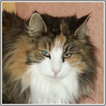 Photo de Wilma F. av Fager