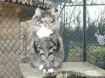 Thmis  7 mois