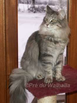 Ofelia  11 mois