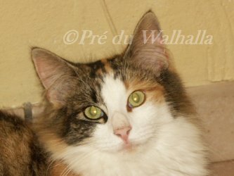 photo de Nazca